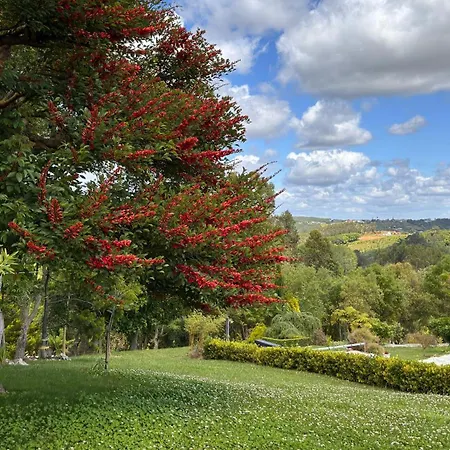 Сasa de vacaciones Casa Floravista