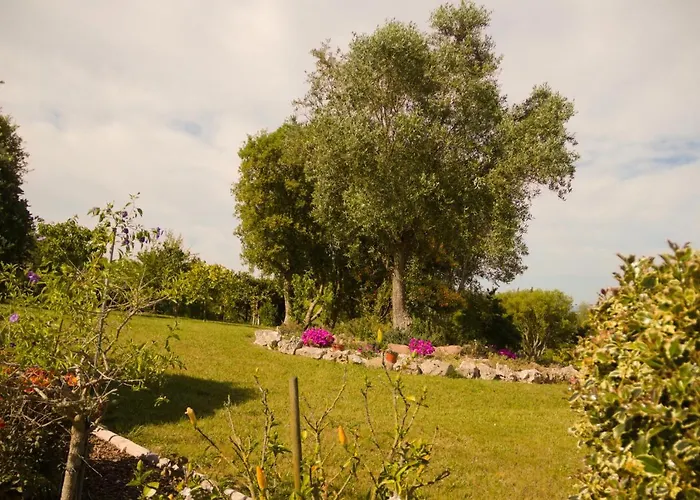 Casa Floravista Дом отдыха *