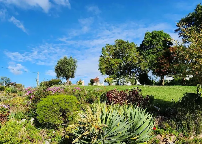 Casa Floravista Бомбаррал